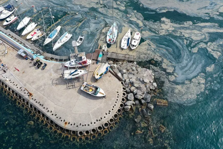 ODTÜ'den Marmara'da 'derin' inceleme 1