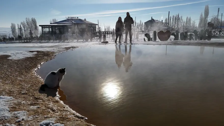 Sibirya değil Sivas! Donan kedi termal su kenarında ısınmaya çalıştı 1 Sibirya değil Sivas! Donan kedi termal su kenarında ısınmaya çalıştı 1
