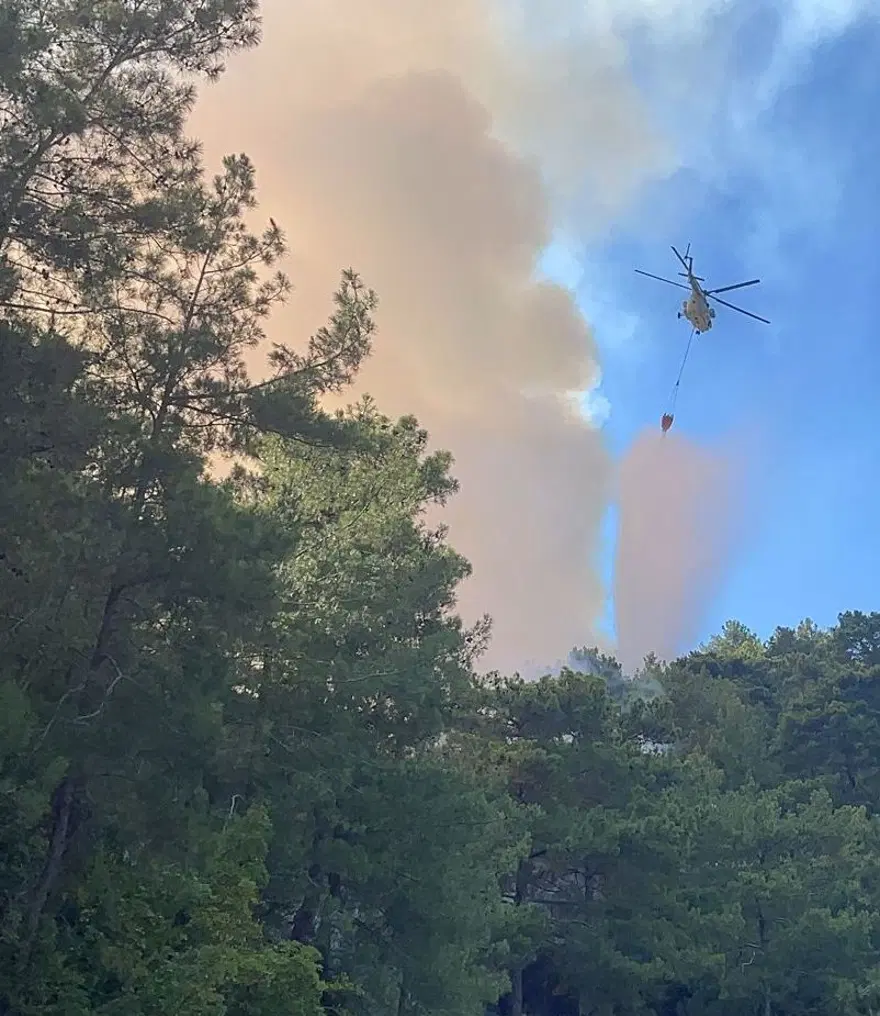 Alanya’da yerleşim yerlerine yakın bölgede orman yangını (Alevler kontrol altına alındı) 4 Alanya’da yerleşim yerlerine yakın bölgede orman yangını (Alevler kontrol altına alındı) 4