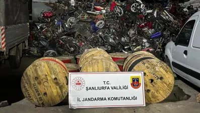 Milyonluk hırsızlığa iki tutuklama