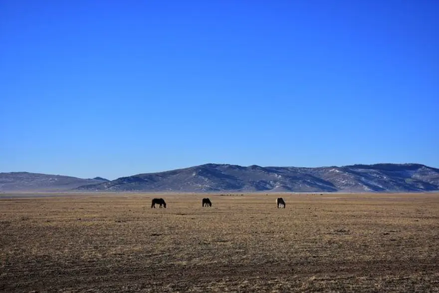 Moğolistan'da ıssızlığın ortasındaki bir avuç Türk: Duhalar 29