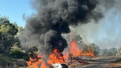 Arabada başladı, ormanda bitti