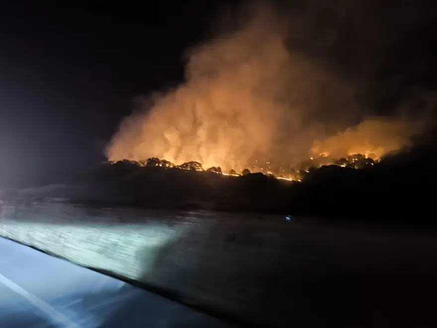 DİKİLİ'DE ALEVLER KONTROL ALTINDA 15