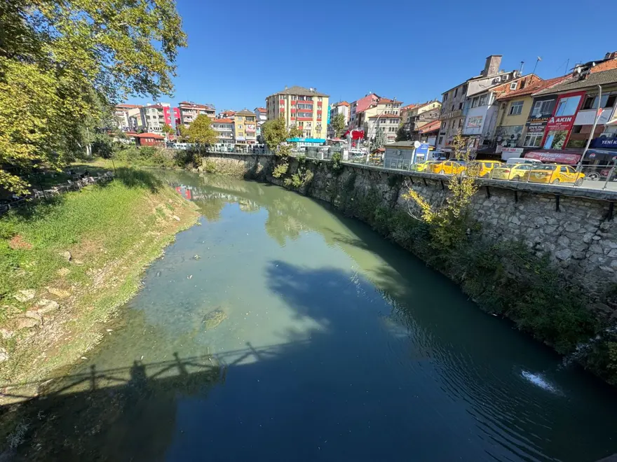 Bartın Irmağı'nda balık ölümleri 6