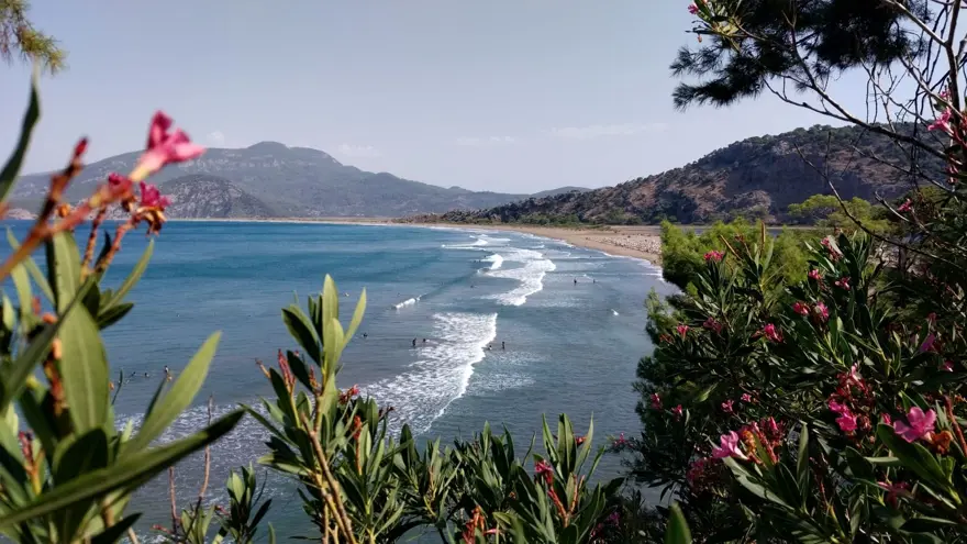 İztuzu'nda caretta caretta yuvası sayısı 700'e ulaştı 7