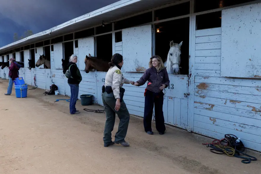 "ONLARA ŞARKI SÖYLEMEMİZİ SEVİYORLAR" 3