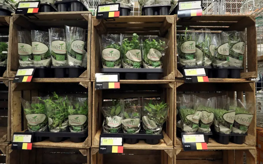 Covid-19 salgını insanları sağlıklı beslenmeye yöneltti 3