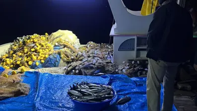 Palamut bu sene az: Fiyatı 150 liradan başlıyor