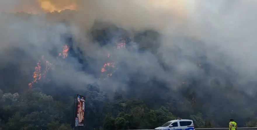 Bolu'da orman yangını: Kontrol altına alındı 1
