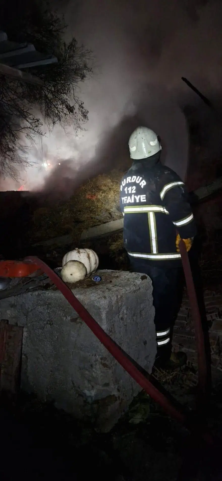 Gece saatlerinde çıkan yangında 6 buzağı telef oldu! 500 saman balyası yandı 