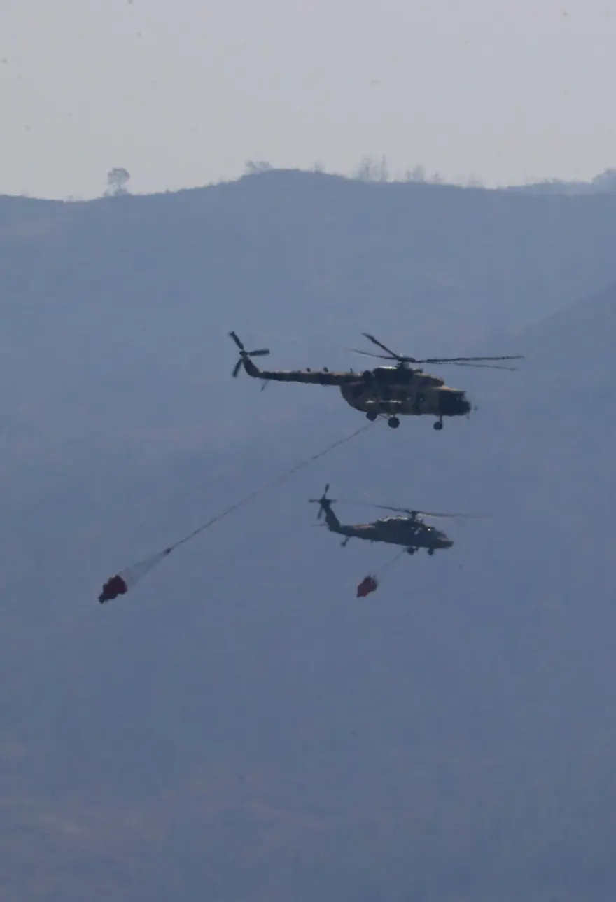 Cumhurbaşkanı Erdoğan: Marmaris'teki orman yangını büyük oranda kontrol altında 80