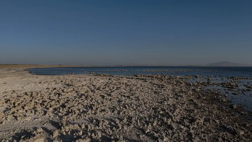Van Gölü'nde endişelendiren görüntü Van Gölü'nde endişelendiren görüntü