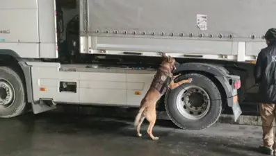 Limanda uyuşturucu oparasyonu