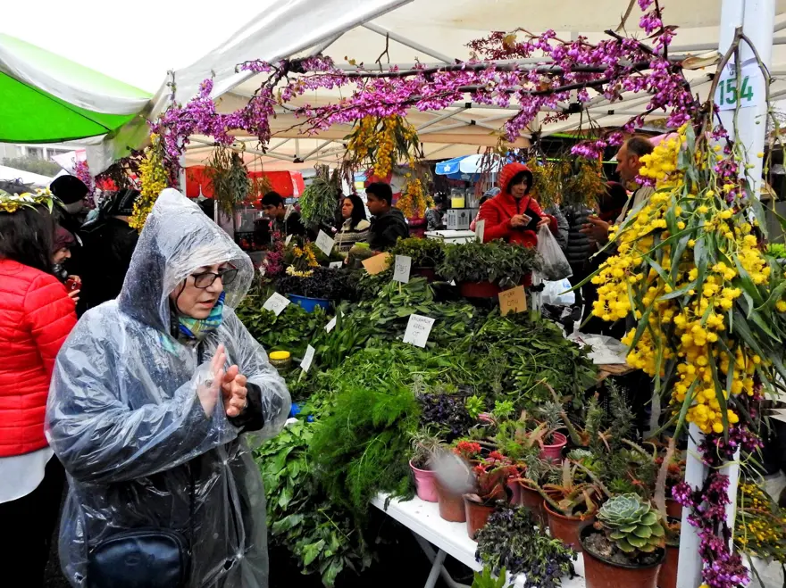 Alaçatı Ot Festivali'nden renkli kareler 
