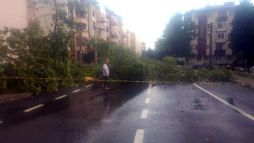 Edirne'de dolu ve sağanak 16