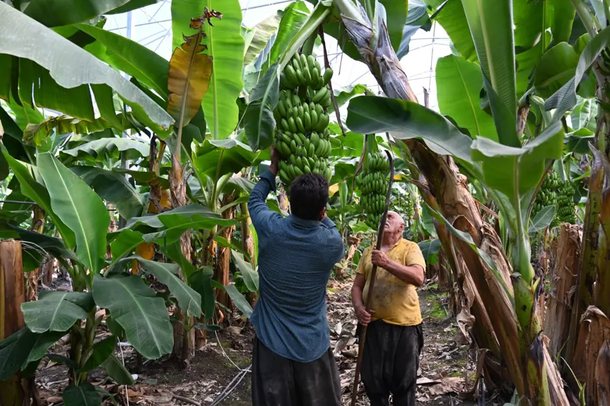 70 TONDAN FAZLA ÜRÜN ALIYOR 3