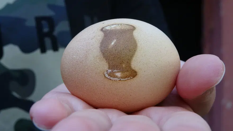 Vazo desenli yumurtaya ilgi 