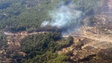 Adana'da orman yangını kontrol altında