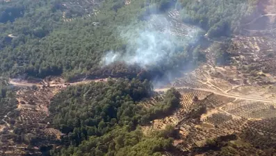 Adana'da orman yangını kontrol altında