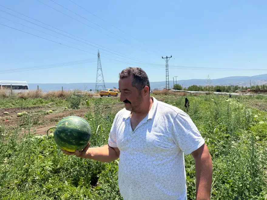 "KARPUZDA EKİM VE REKOLTE FAZLA" 3