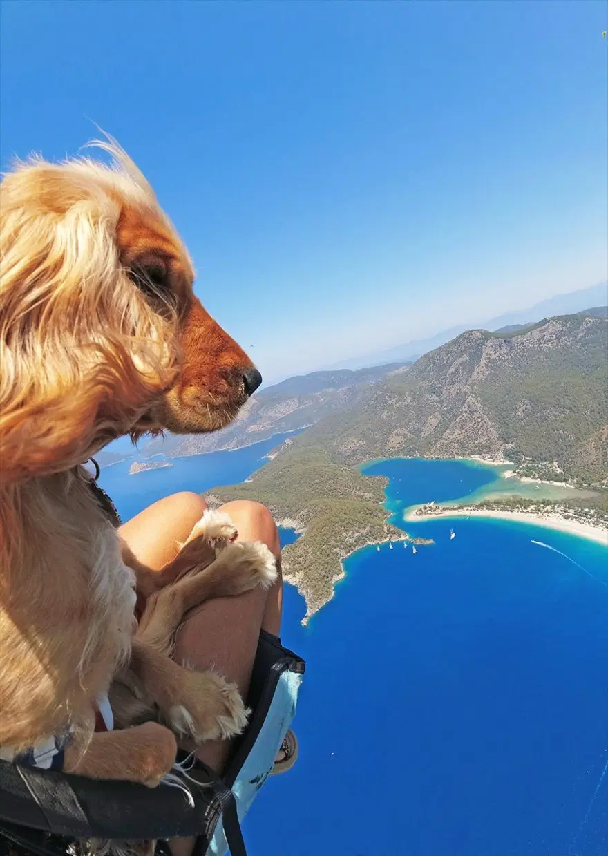 Ölüdeniz'in eşsiz manzarasında köpeği 'Yager' ile yamaç paraşütü yaptı 2