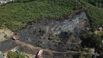 Maki yangınında 15 dönüm alan zarar gördü
