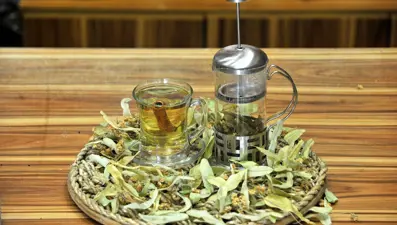 Günde iki fincan ıhlamur solunumu rahatlatıyor, nefesi açıyor