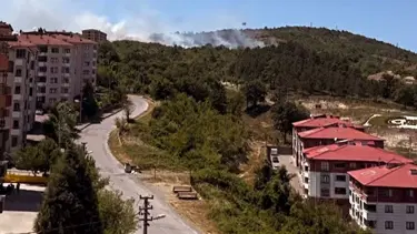 Bartın'da anız ateşi şiddetli rüzgarın etkisiyle ormana sıçradı