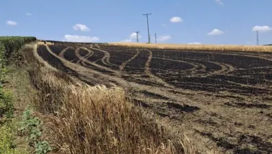 Tekirdağ'da arpa tarlasında yangın