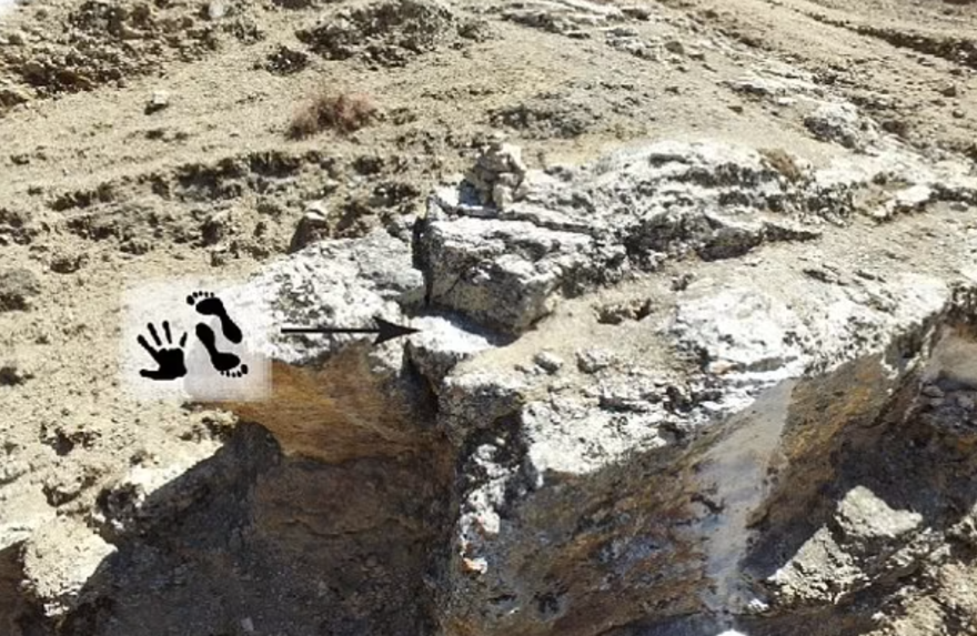 DENİSOVA İNSANLARI HAKKINDA 1