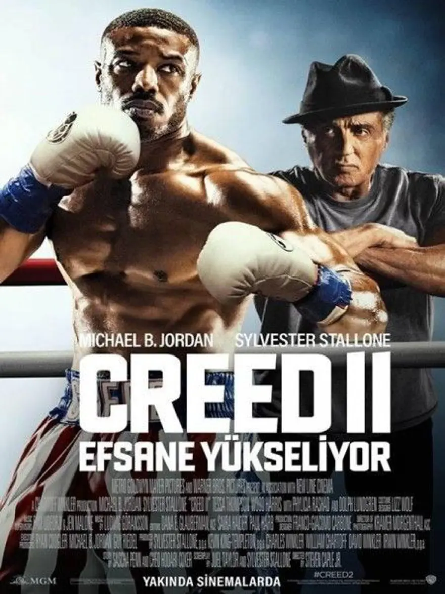 Sinemada haftanın filmleri (11 Ocak 2019) 2
