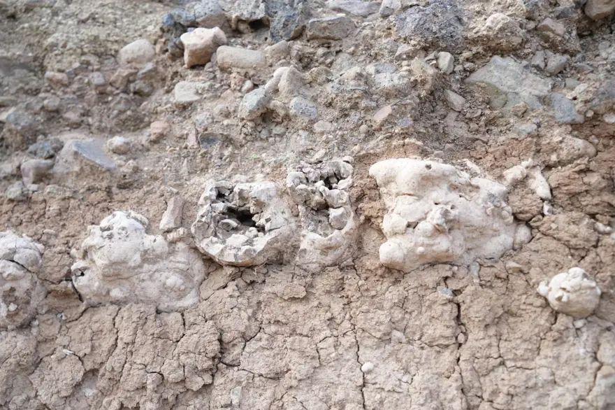 TRAVERTEN TAŞI OLDUĞU ANLAŞILDI 3