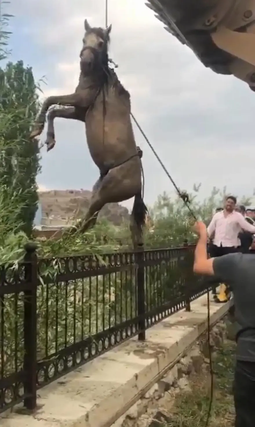 ÇAY TAŞTI, AT İŞ MAKİNESİYLE KURTARILDI 5 ÇAY TAŞTI, AT İŞ MAKİNESİYLE KURTARILDI 5