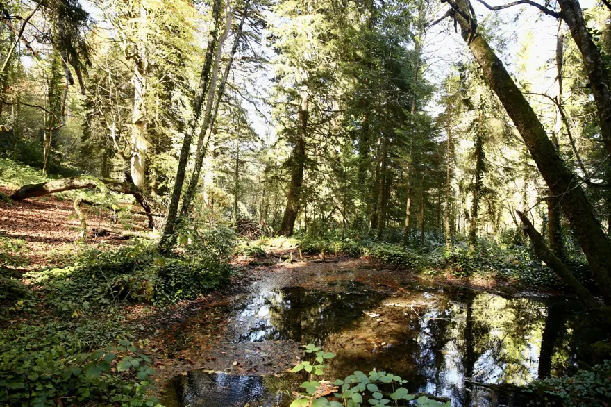 Doğal güzellikleriyle ünlü: Doyumsuz manzarasıyla dikkat çekti Doğal güzellikleriyle ünlü: Doyumsuz manzarasıyla dikkat çekti