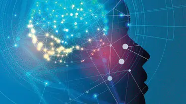 Sudoku ve çapraz bulmaca için yeni araştırma: Zeka geliştirmiyor