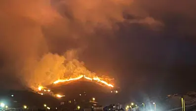 Gökçeada'da otluk alanda yangın