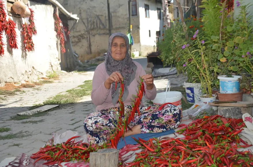 Ona "kırmızı altın" da deniyor: 160 yıldır aynı tohumdan  üretiyorlar 3