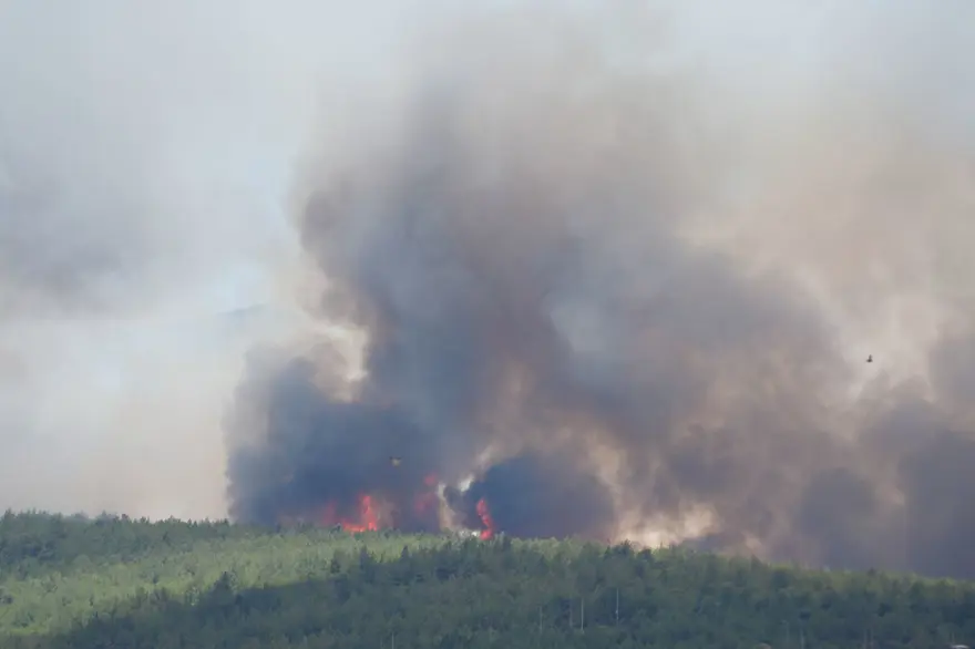 İzmir ve Balıkesir'de orman yangını: Bazı evler tahliye edildi 17 İzmir ve Balıkesir'de orman yangını: Bazı evler tahliye edildi 17