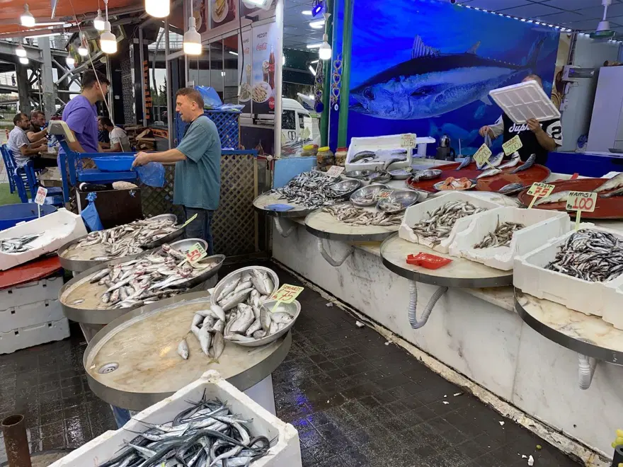 Balık avı başladı: Sezonun ilk istavrit ile hamsileri 100 liradan satışta 3