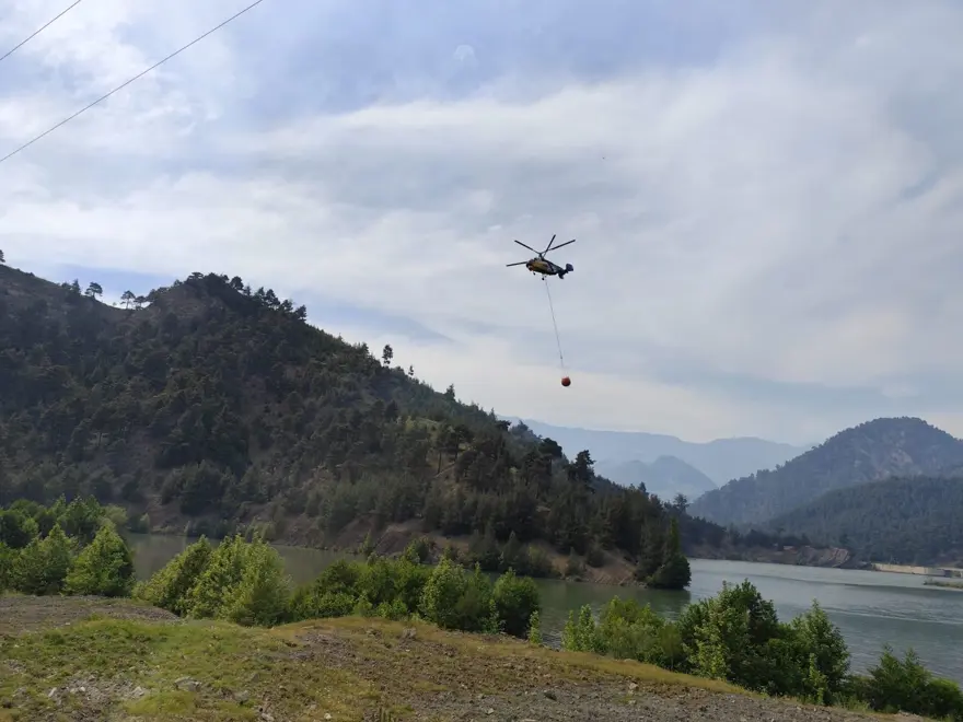 Kahramanmaraş'ta orman yangını 1