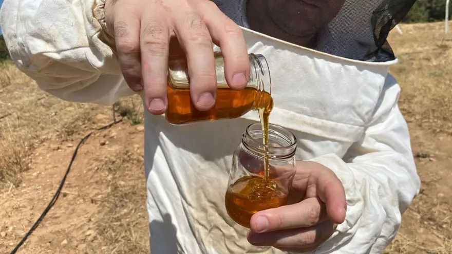 D&uuml;nyanın en iyisini Eskişehir'de &uuml;retti: 2 bin 925 prolin değeri var 