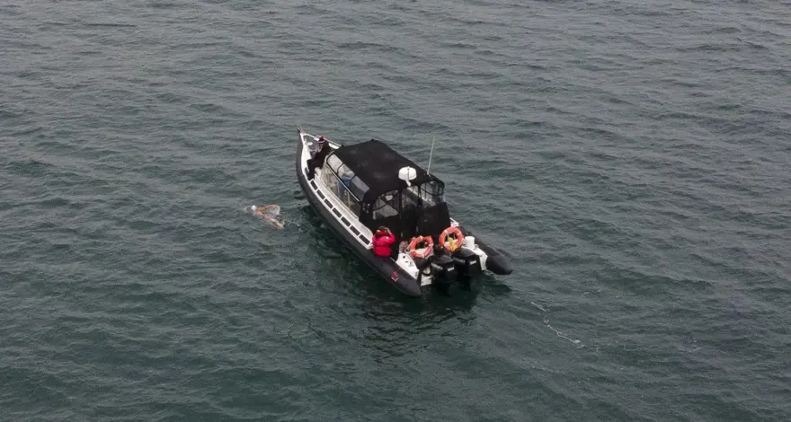 Aysu Türkoğlu, Kuzey Kanalı'nı yüzerek geçen en genç Türk sporcu oldu 3