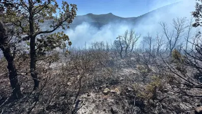 Antalya, Çanakkale ve Konya'da orman yangını