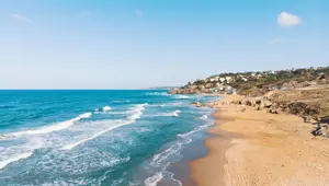 İstanbul'da denize girilebilecek en iyi plajlar İstanbul'da denize girilebilecek en iyi plajlar