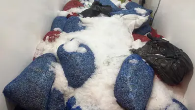 Kaçak midye avcılığına 126 bin lira ceza