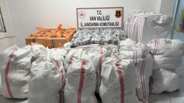 Piyasa değeri 1 milyon 630 bin lira: Van'da kaçakçılık operasyonu