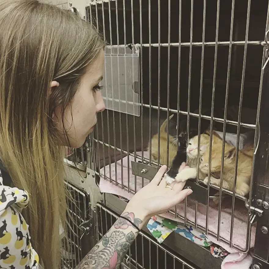 Hayatını kedileri kurtarmaya adadı 182