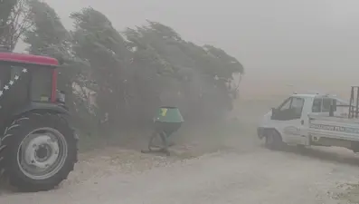 Bitlis'te hayat durma noktasına geldi