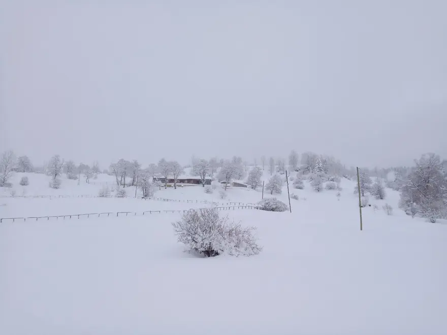 Artvin'de kar kalınlığının 1 metreyi bulduğu köyde gece gündüz çatı temizleniyor 1