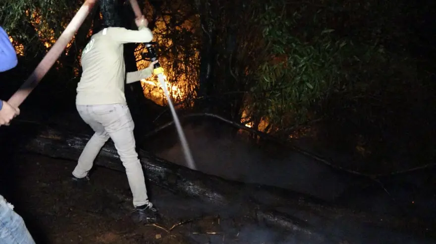 Trabzon'da orman yangınları 5